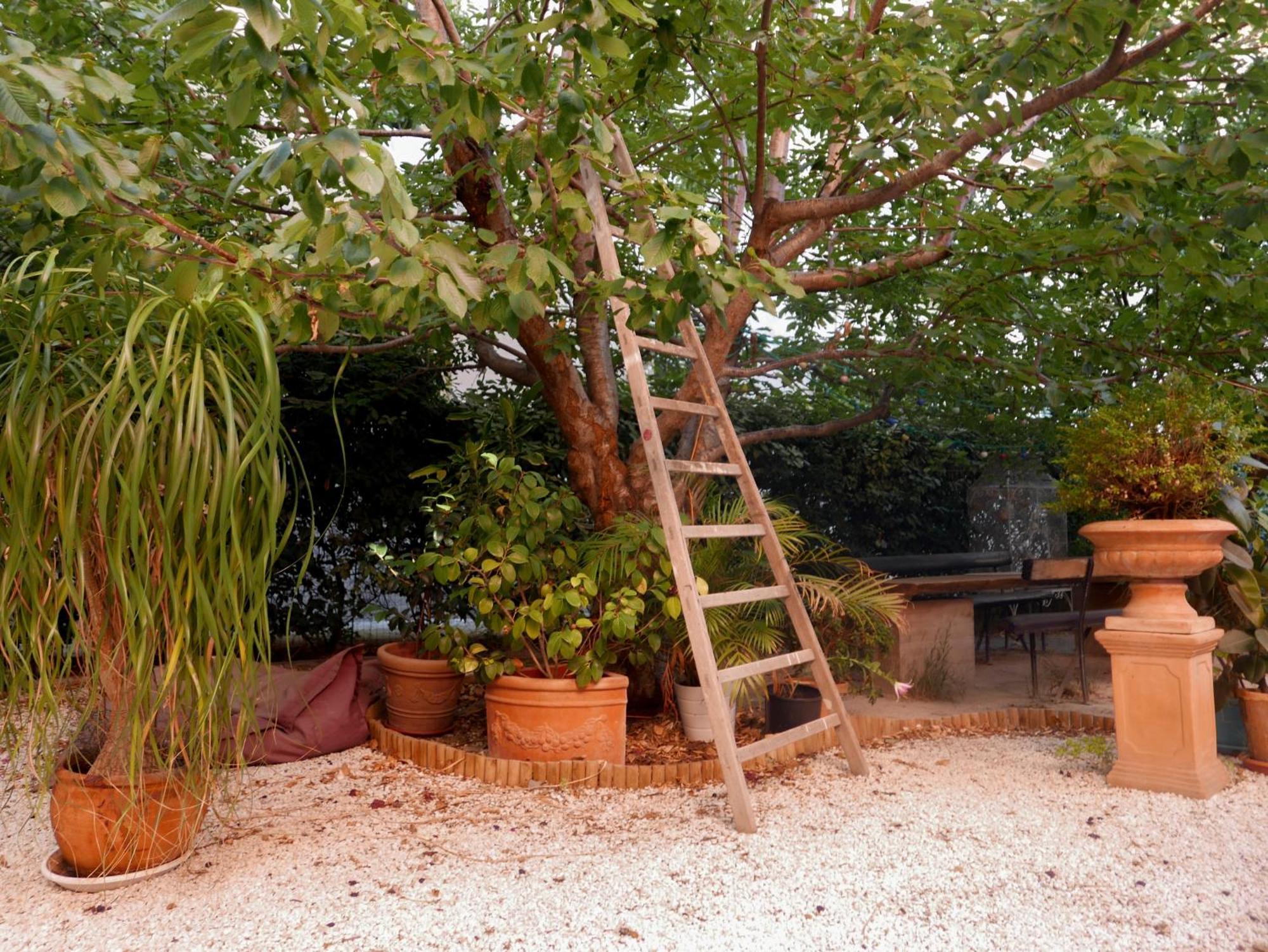 Hotel Jardin Vieux Port Panier Marsella Exterior foto